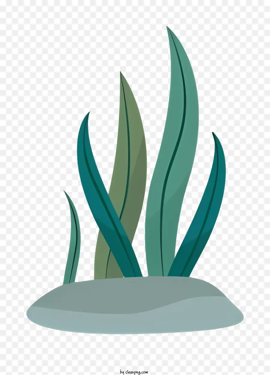 البركة，النباتات المائية PNG