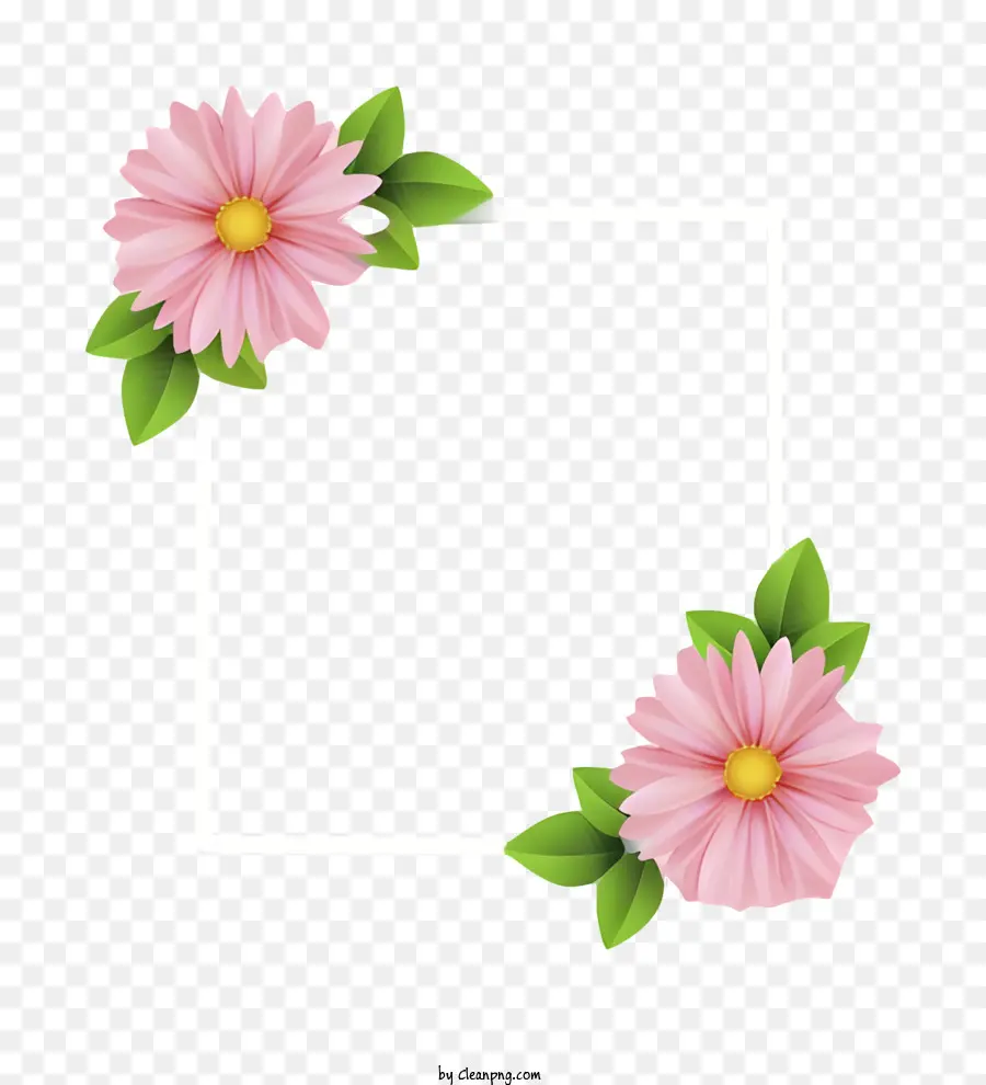 إطار مربع，الزهور الوردية PNG