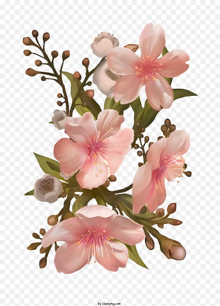أزهار الكرز，الزهور الوردية PNG