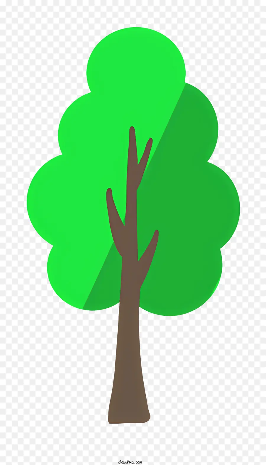 شجرة，شجرة خضراء PNG