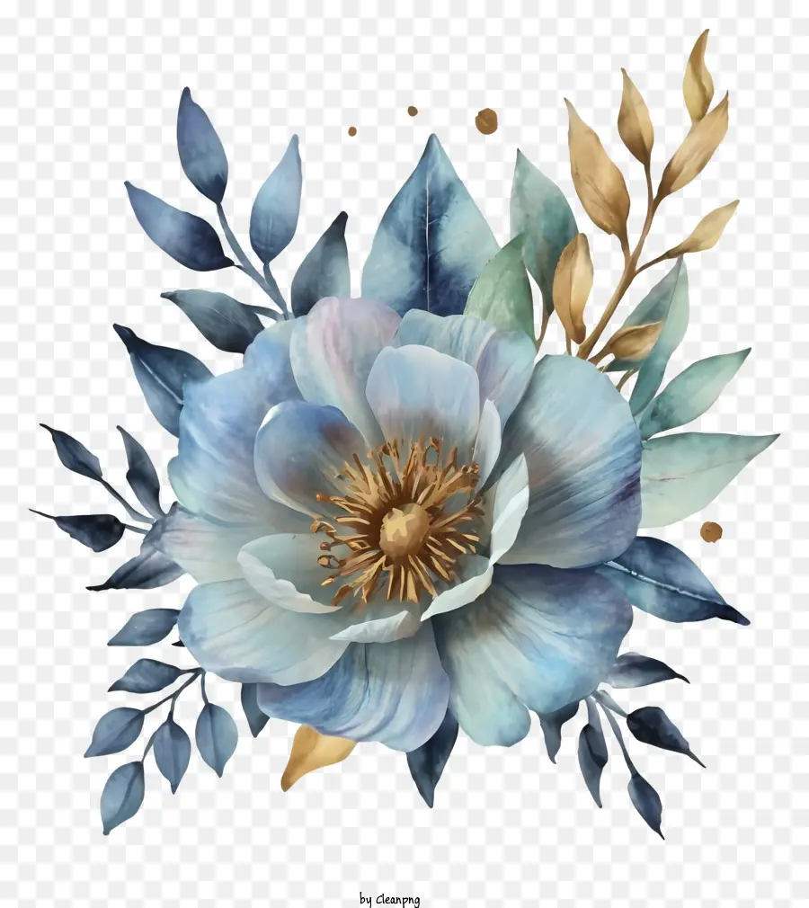 الكرتون，زهرة الفاوانيا الزرقاء PNG