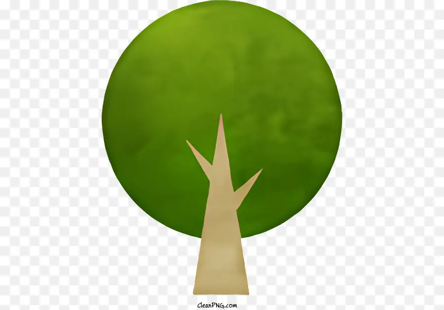 شجرة خضراء，جذع بني PNG