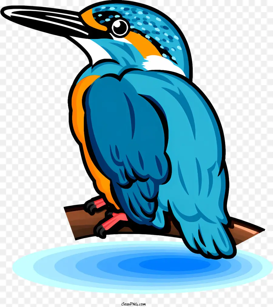 الطائر الأزرق，البركة PNG