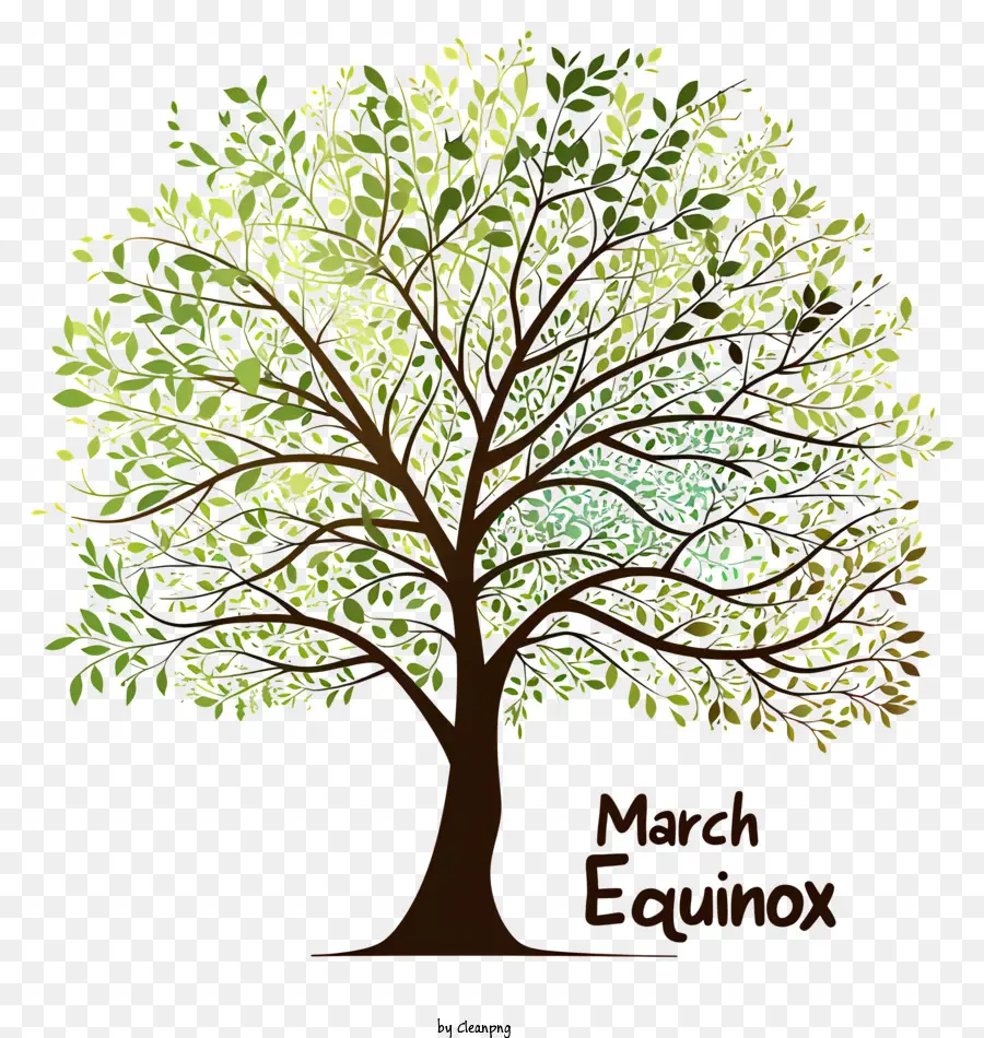 آذار مارس الاعتدال，شجرة كبيرة PNG
