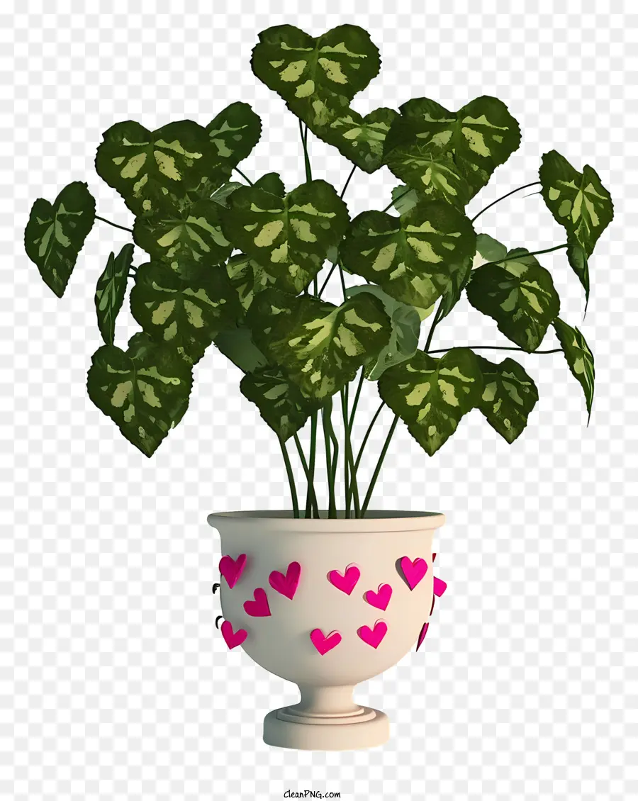 نبات عيد الحب ثلاثي الأبعاد واقعي，إناء PNG