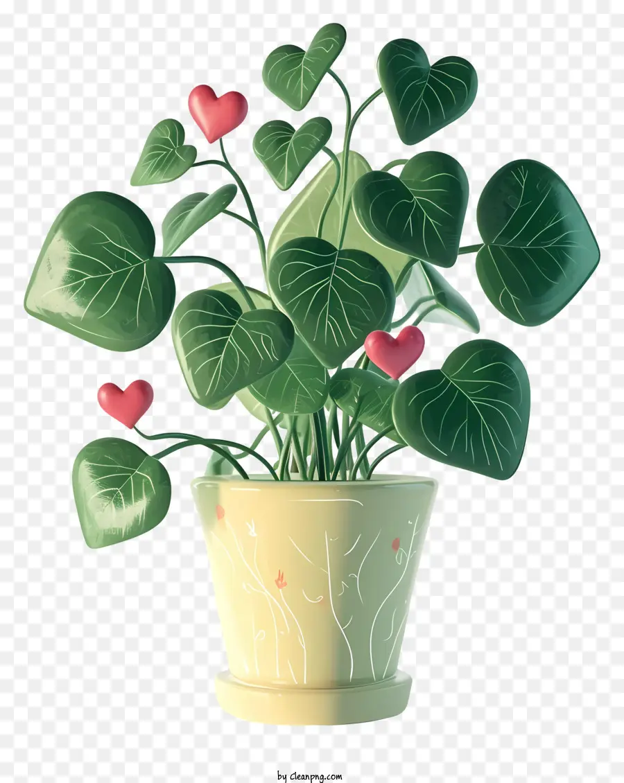 نبات الحب，نبات محفوظ بوعاء صغير PNG