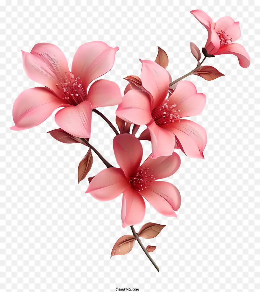 زهرة الوردي，الزهور الوردية PNG