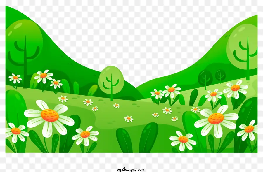 الربيع الميدانية，الحقل الأخضر PNG