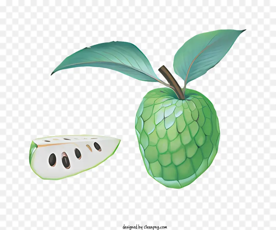 الفاكهة，فاكهة البابايا الخضراء PNG