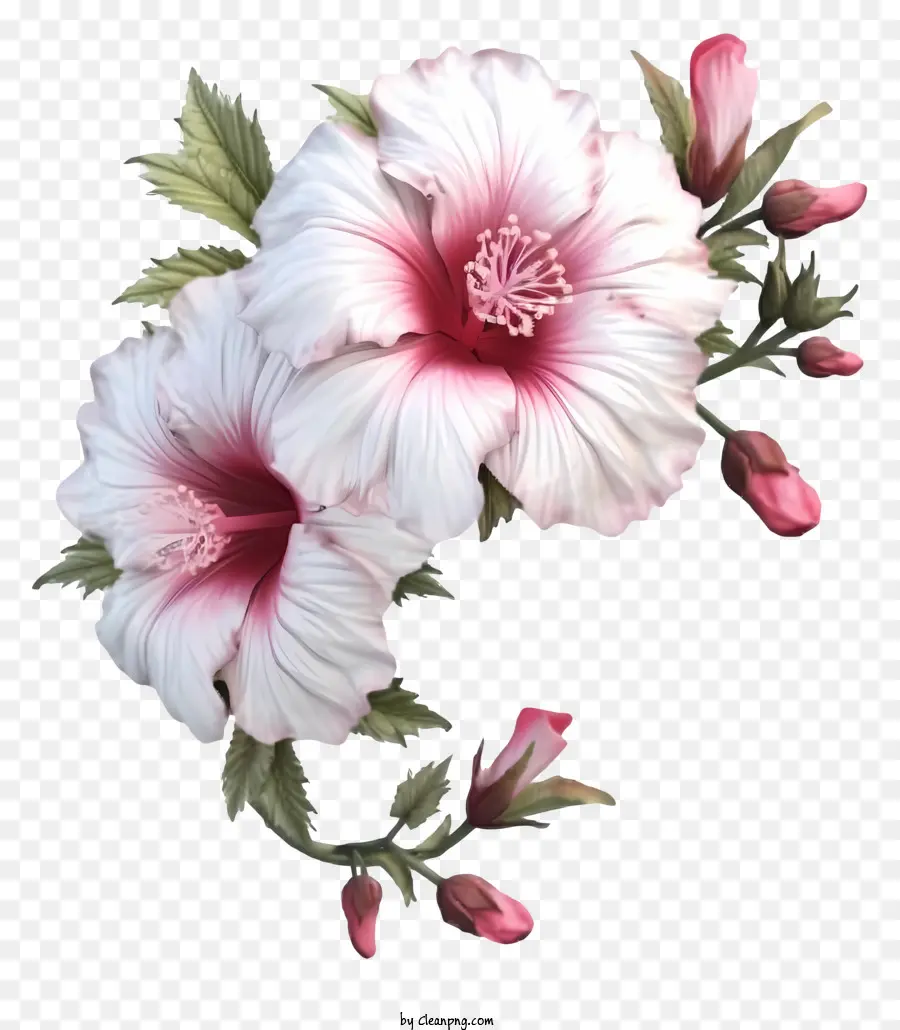 واقعية ثلاثية الأبعاد من شارون，زهرة الكركديه الوردي PNG