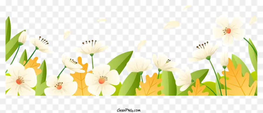 الربيع الميدانية，الزهور البيضاء PNG