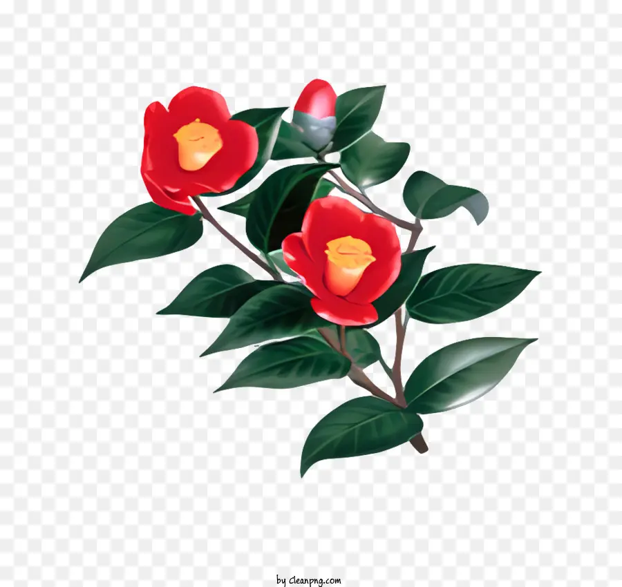 زهرة，الزهور الحمراء PNG