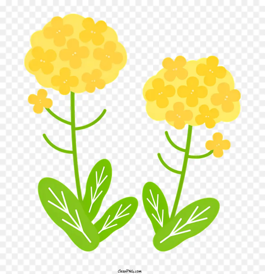 الربيع，الزهور الصفراء PNG