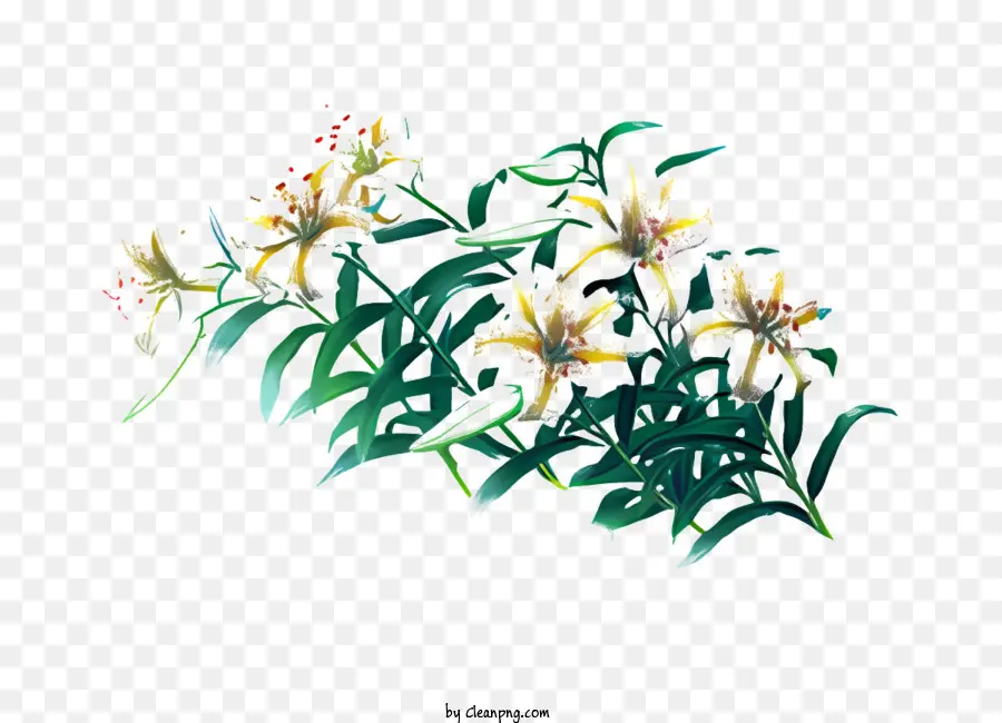 زهرة，الزهور PNG