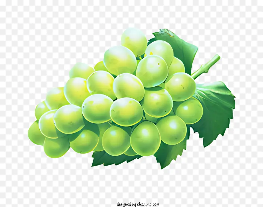 الفاكهة，العنب الأخضر PNG