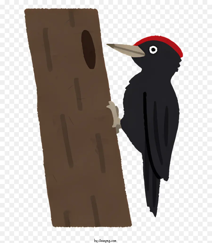 الطيور，نقار الخشب PNG