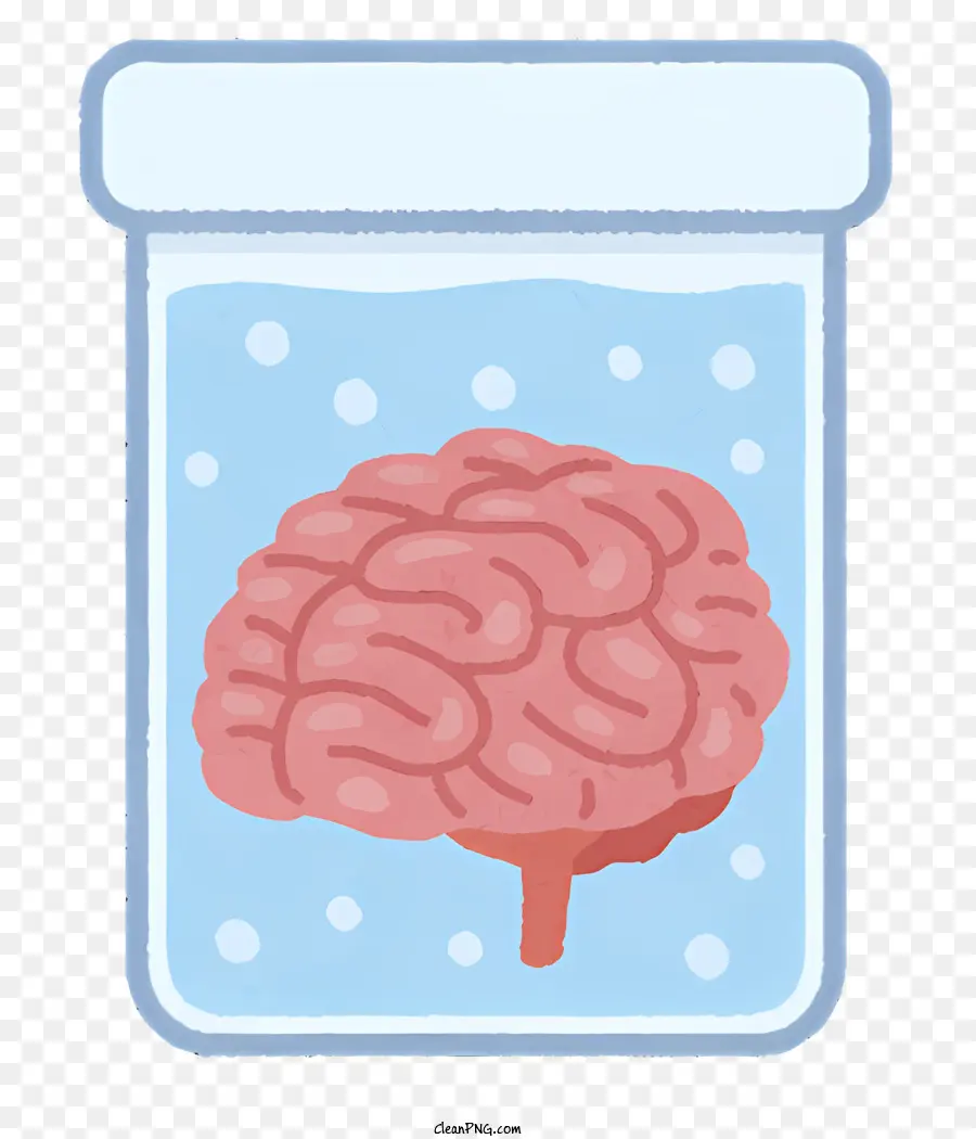 الدماغ في الحاوية，دماغ شفاف PNG