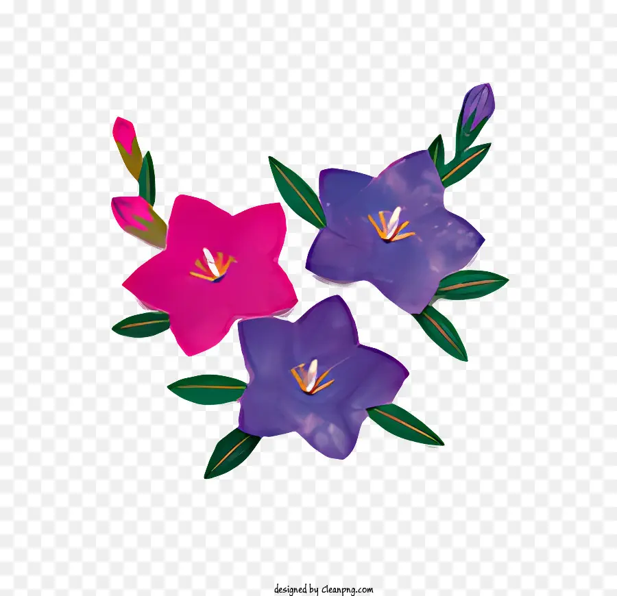 زهرة，الزهور PNG