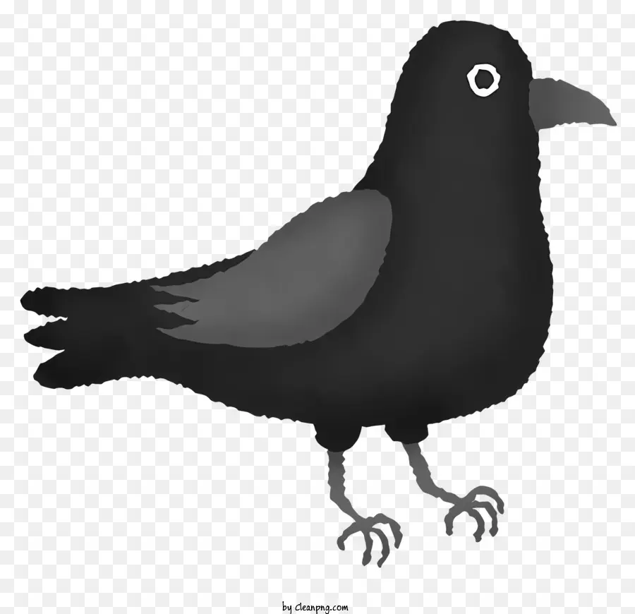 طائر أسود صغير，منقار أسود PNG
