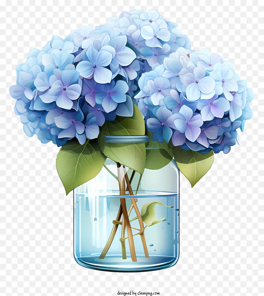 الكوبية المسطحة في جرة，الزهور الزرقاء PNG