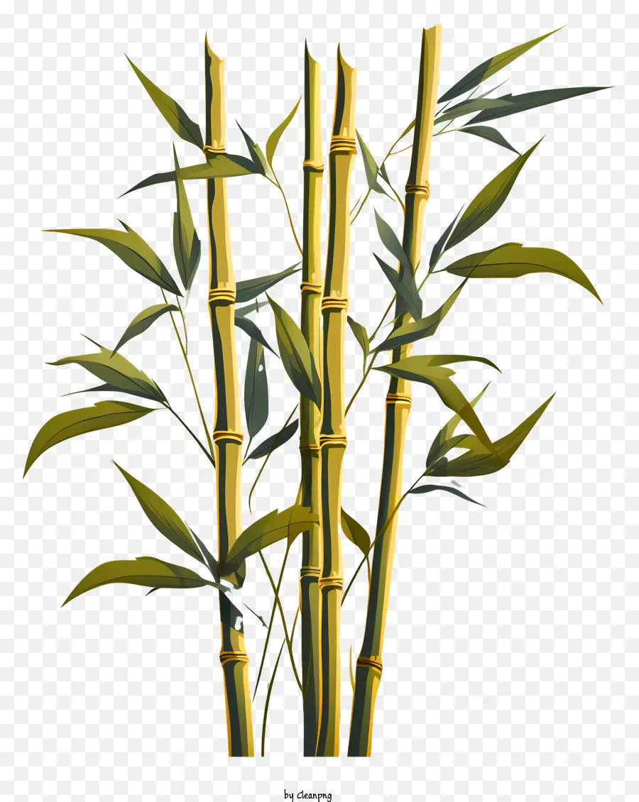 ساق الخيزران المسطح，نبات الخيزران PNG
