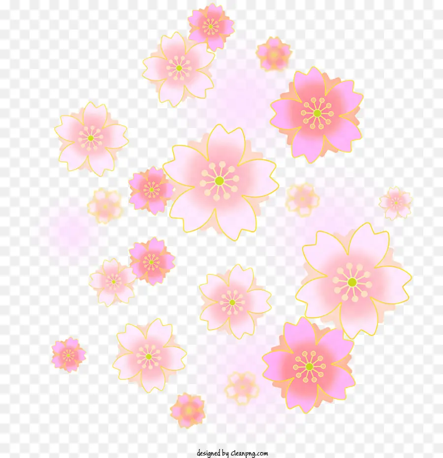 ساكورا，الوردي أزهار الكرز PNG