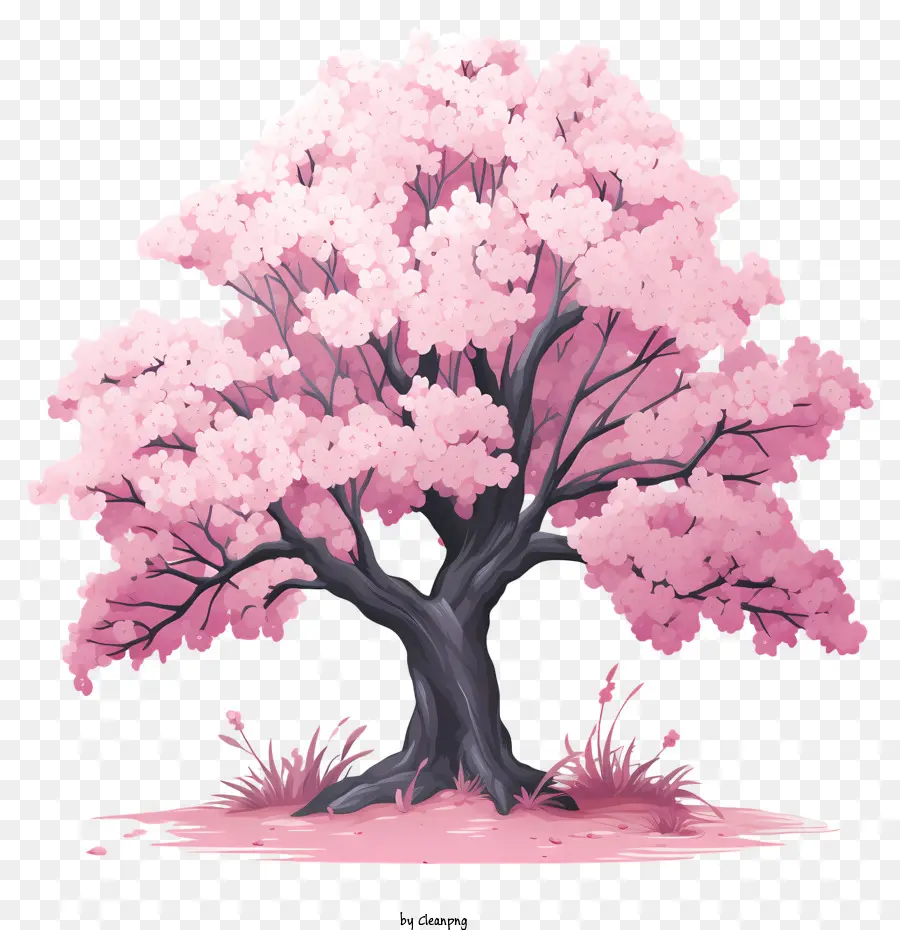 شجرة باستيل كرز زهر，زهر الكرز شجرة PNG