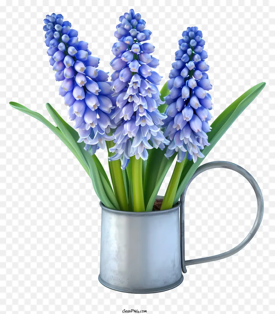 واقعية ثلاثية الأبعاد صفير العنب，زهور صفير زرقاء PNG