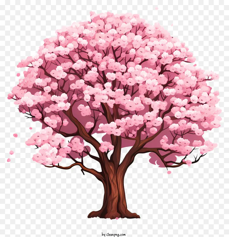شجرة زهر الكرز على طراز الشاب，أزهار وردية PNG