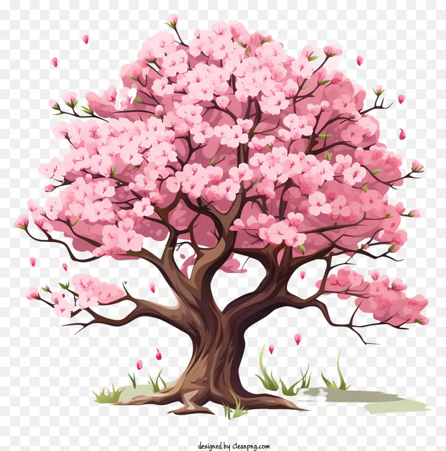 شجرة زهر الكرز على طراز الشاب，الوردي شجرة الكرز PNG