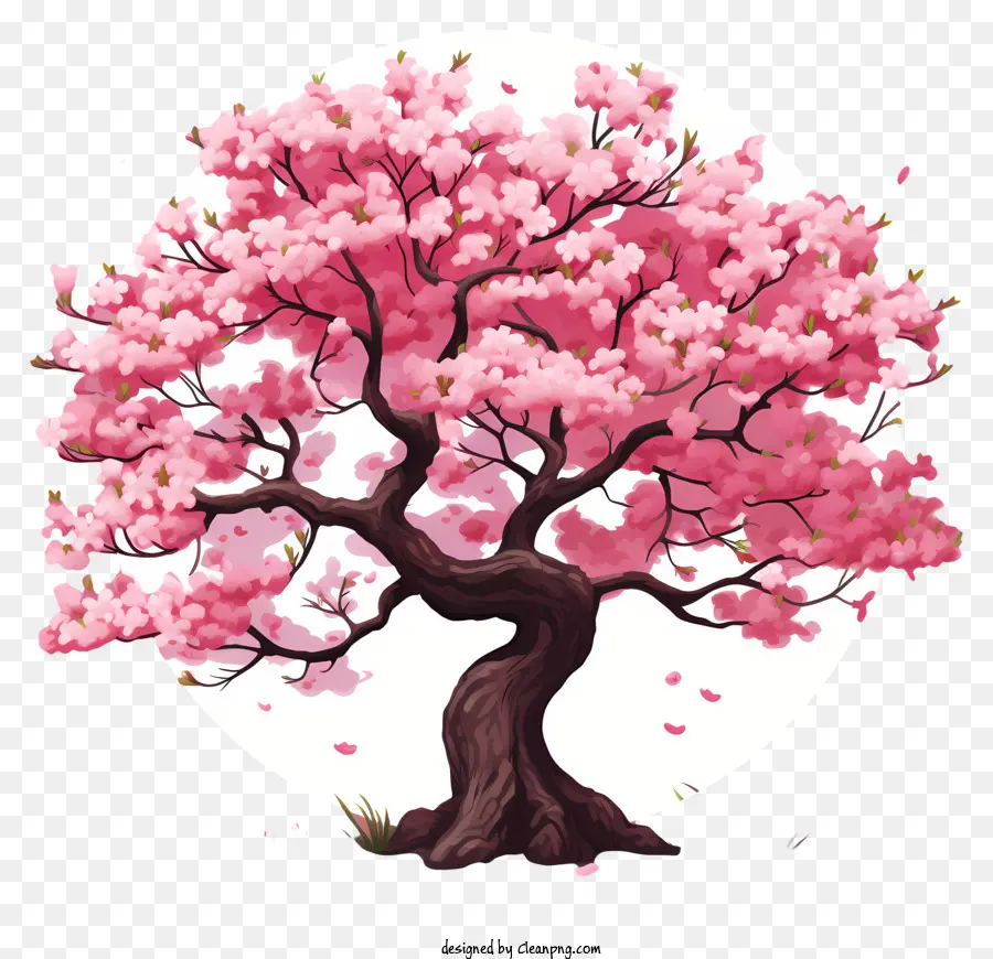 رسم نمط الكرز شجرة أزهار，أزهار وردية PNG