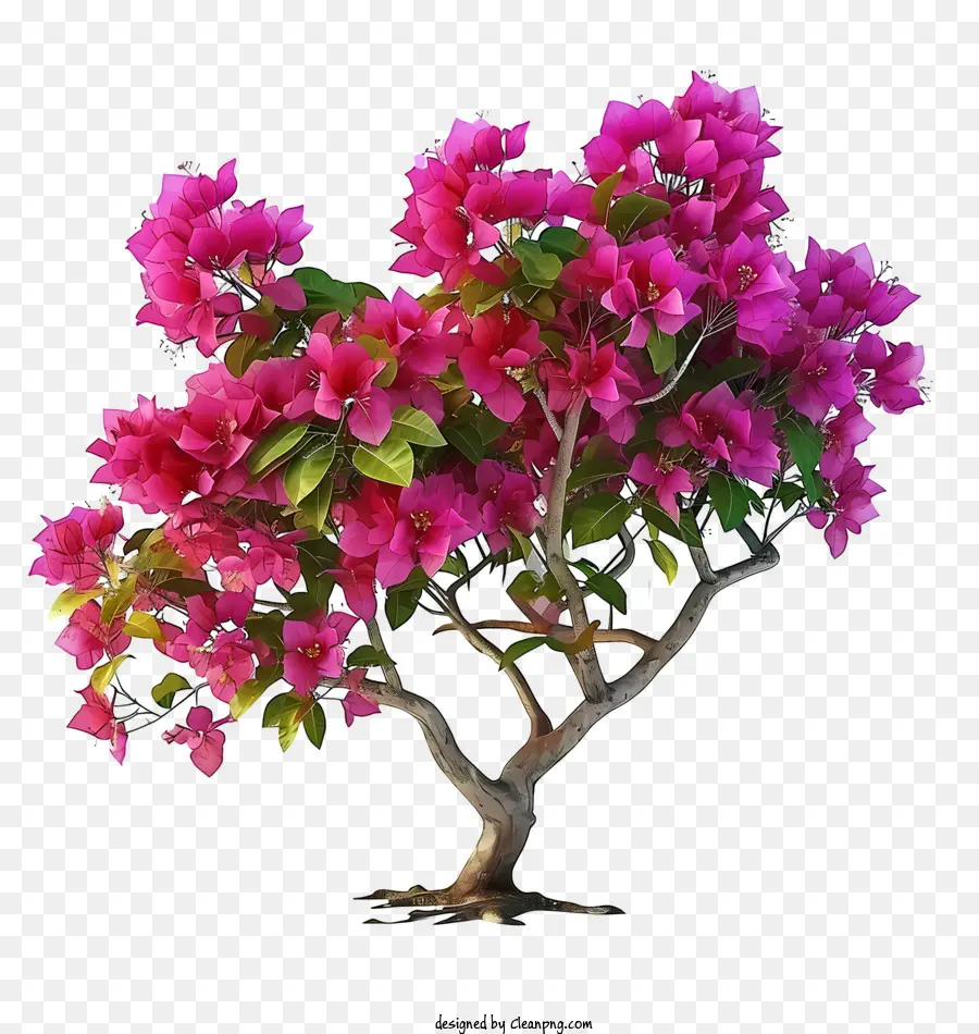 واقعية ثلاثية الأبعاد بوغانفيليا，شجرة مع زهور وردية PNG