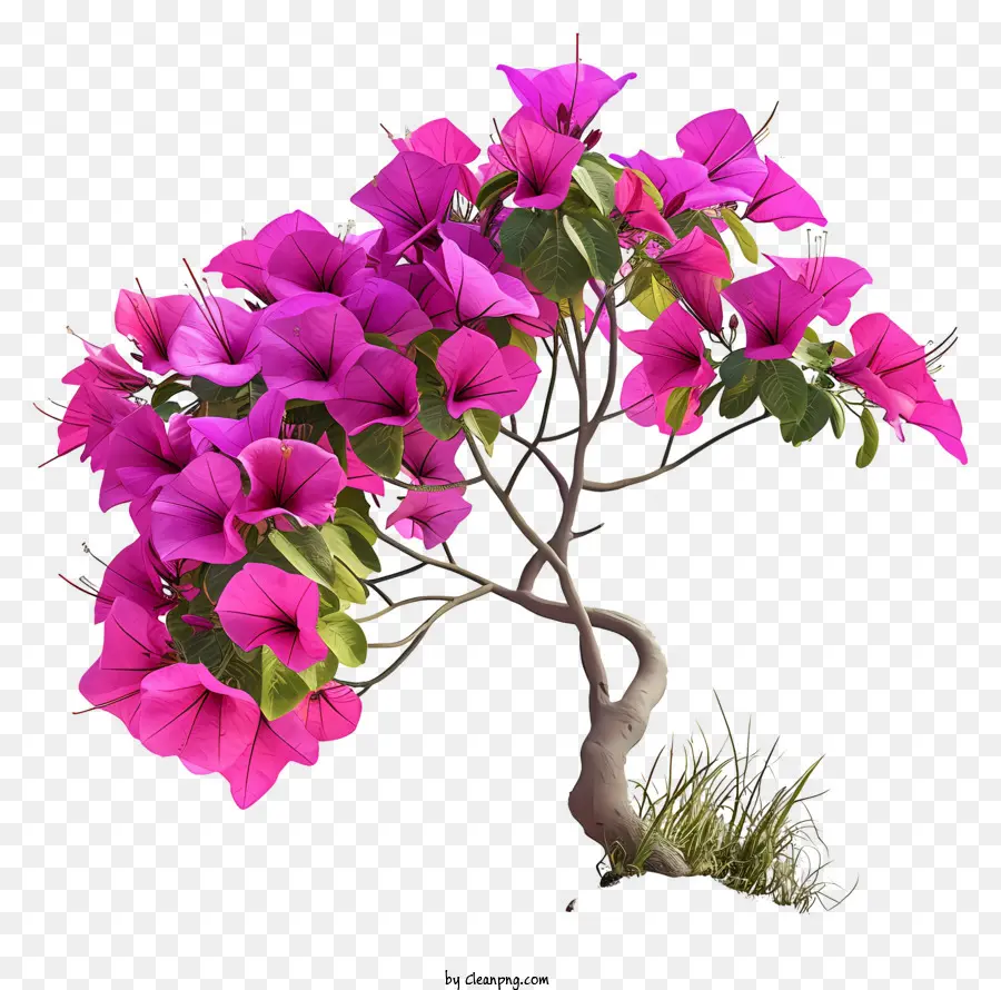 الجهنمية，شجرة زهرة وردية صغيرة PNG