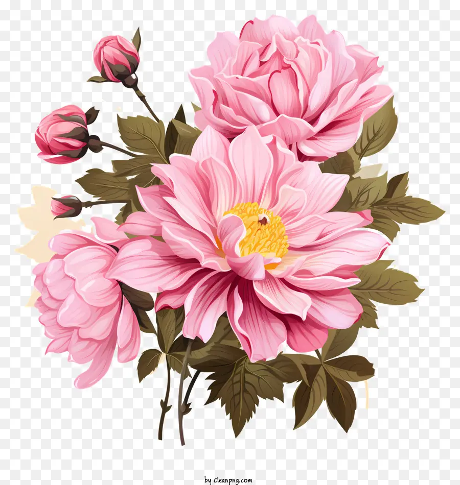 زهرة وردية مرسومة باليد，الوردي الورود PNG