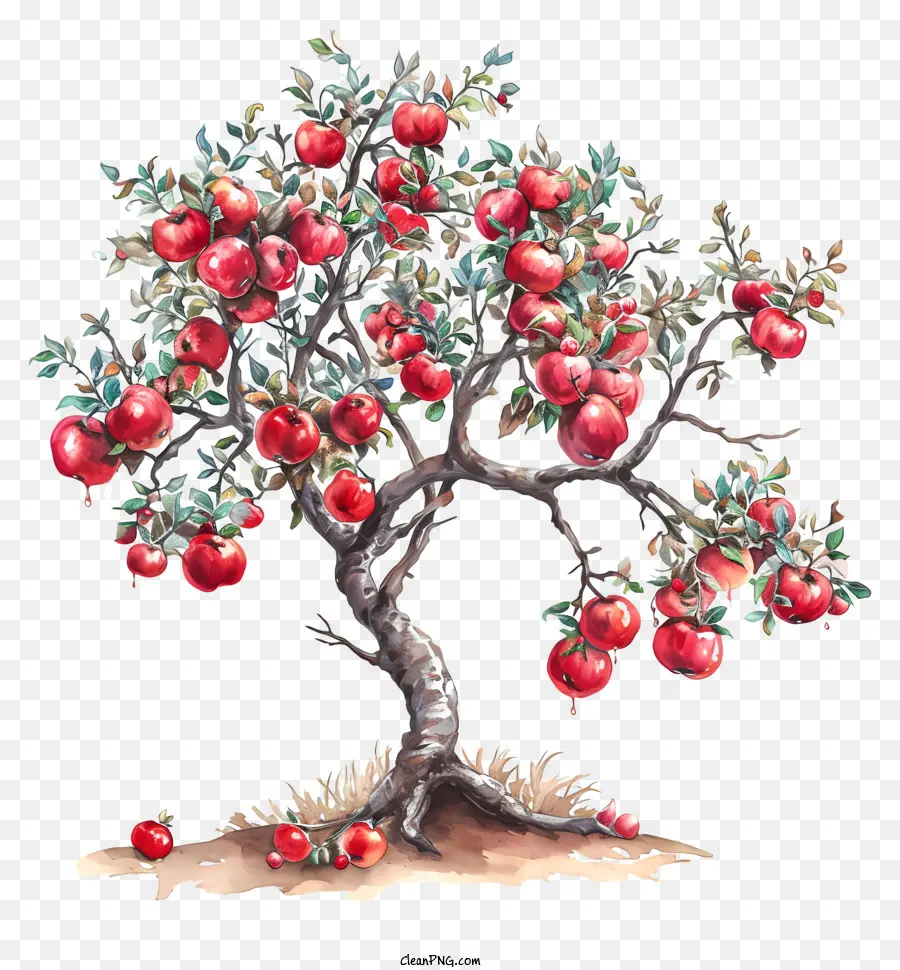 شجرة مع التفاح，التفاح الأحمر على الشجرة PNG