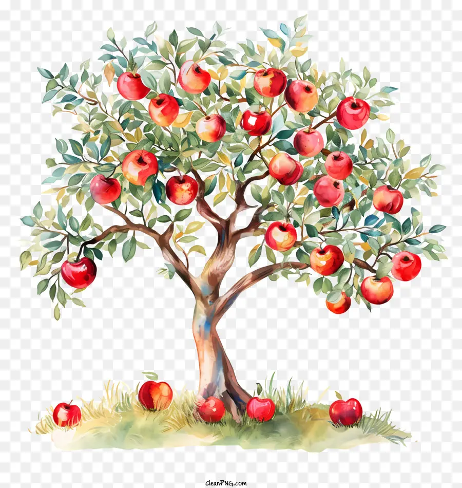 أنتم，شجرة التفاح PNG