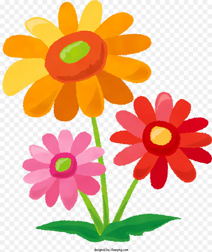 زهرة，الزهور الملونة PNG