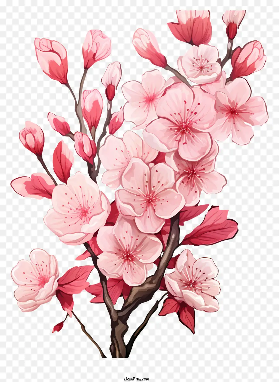أزهار فرع الكرز على الطراز الواقعي，الزهور الوردية PNG