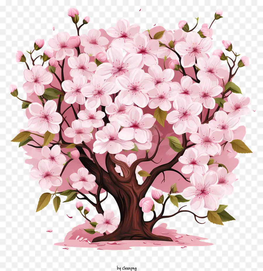 ساكورا إطار زهرة，زهر الكرز شجرة PNG