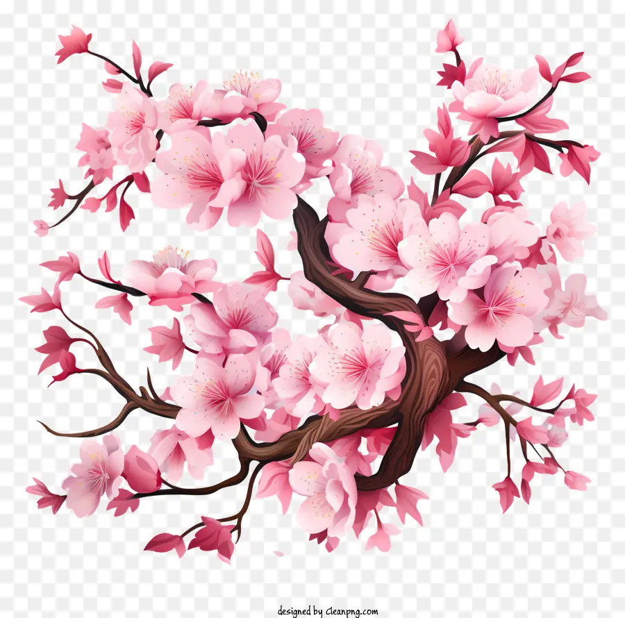 زهر الكرز，شجرة زهر الكرز الوردي PNG