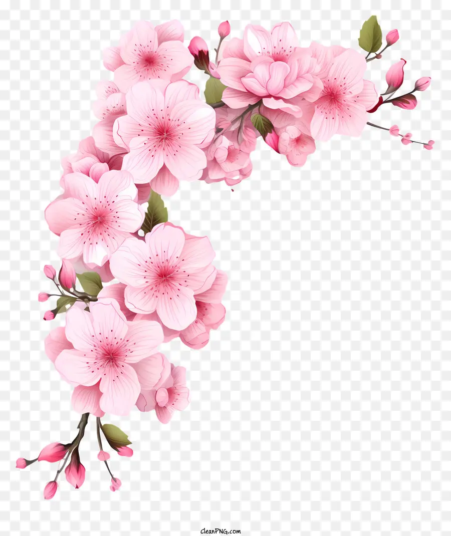 ورق فارغ مع أزهار الكرز，ترتيب الزهور الوردي PNG