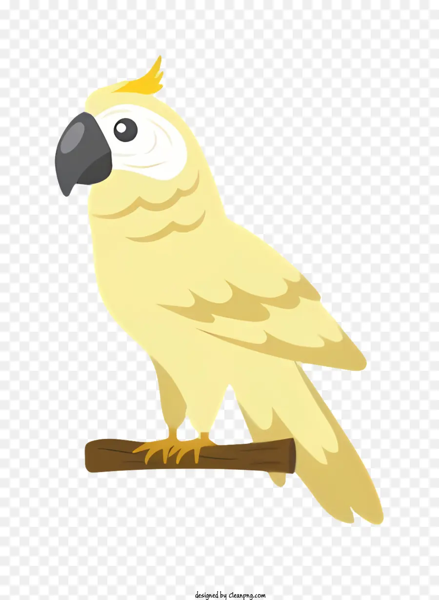 ببغاء الطيور，الطيور الصفراء PNG