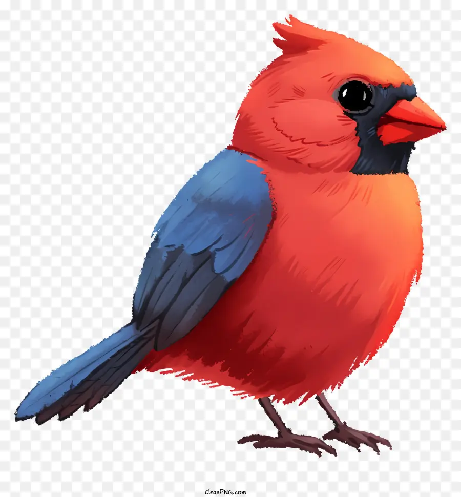 طائر مرسومة باليد，طائر أحمر صغير PNG