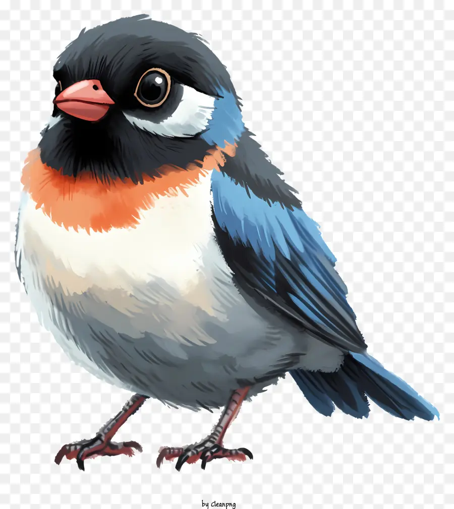 طائر الشعار الشابط，الطائر الأزرق PNG