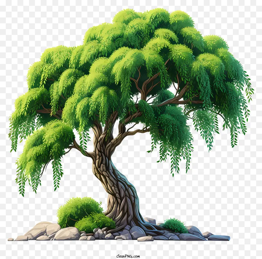 شجرة كبيرة مسطحة，شجرة PNG
