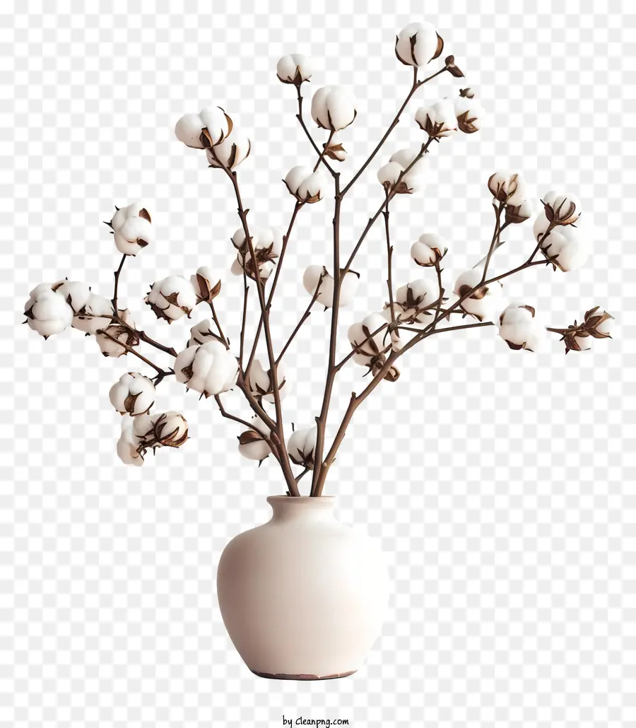 زهور القطن，زهرية بيضاء PNG
