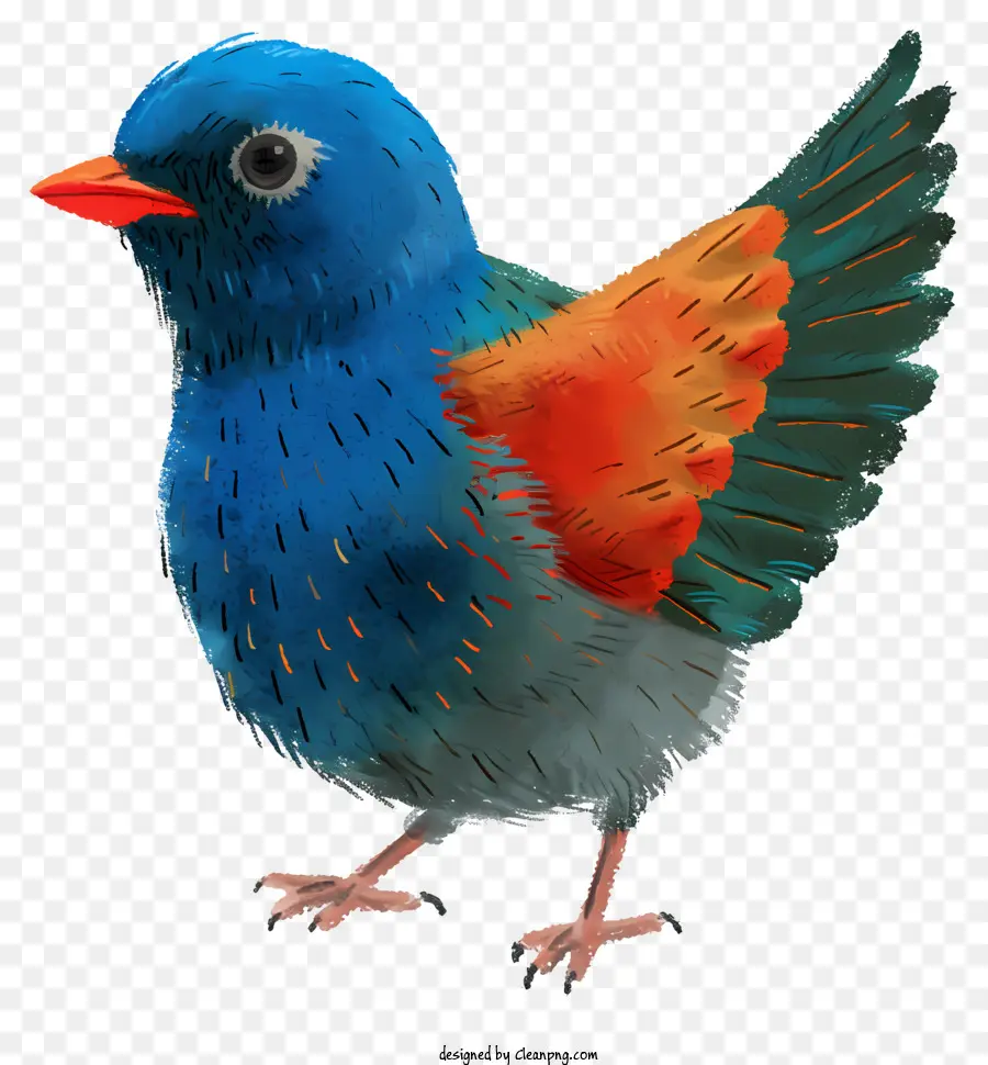 طائر بالألوان المائية，الطائر الأزرق PNG