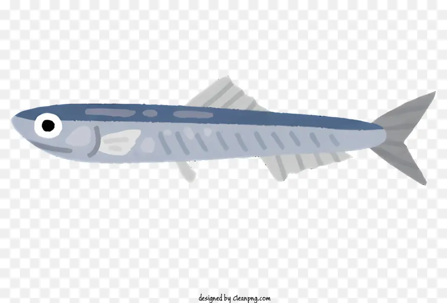 الأسماك，الجسم الأزرق الداكن PNG