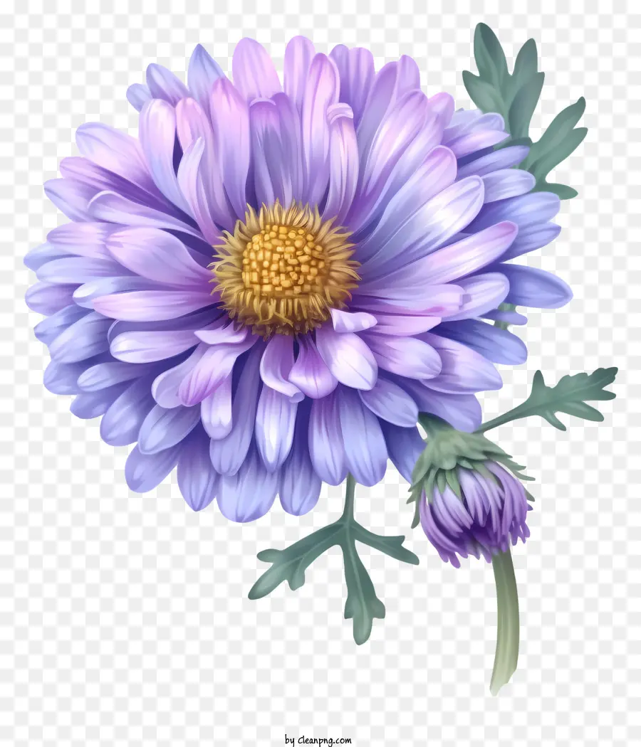 أنيقة Aster Flower Vector 3d，الأرجواني زهرة PNG