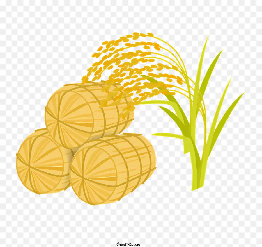 الأرز，عصي الخيزران PNG